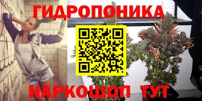 СК Уссурийск