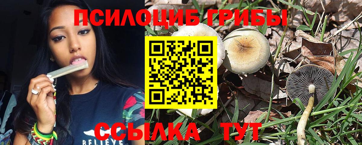 Псилоцибиновые грибы мицелий Набережные Челны